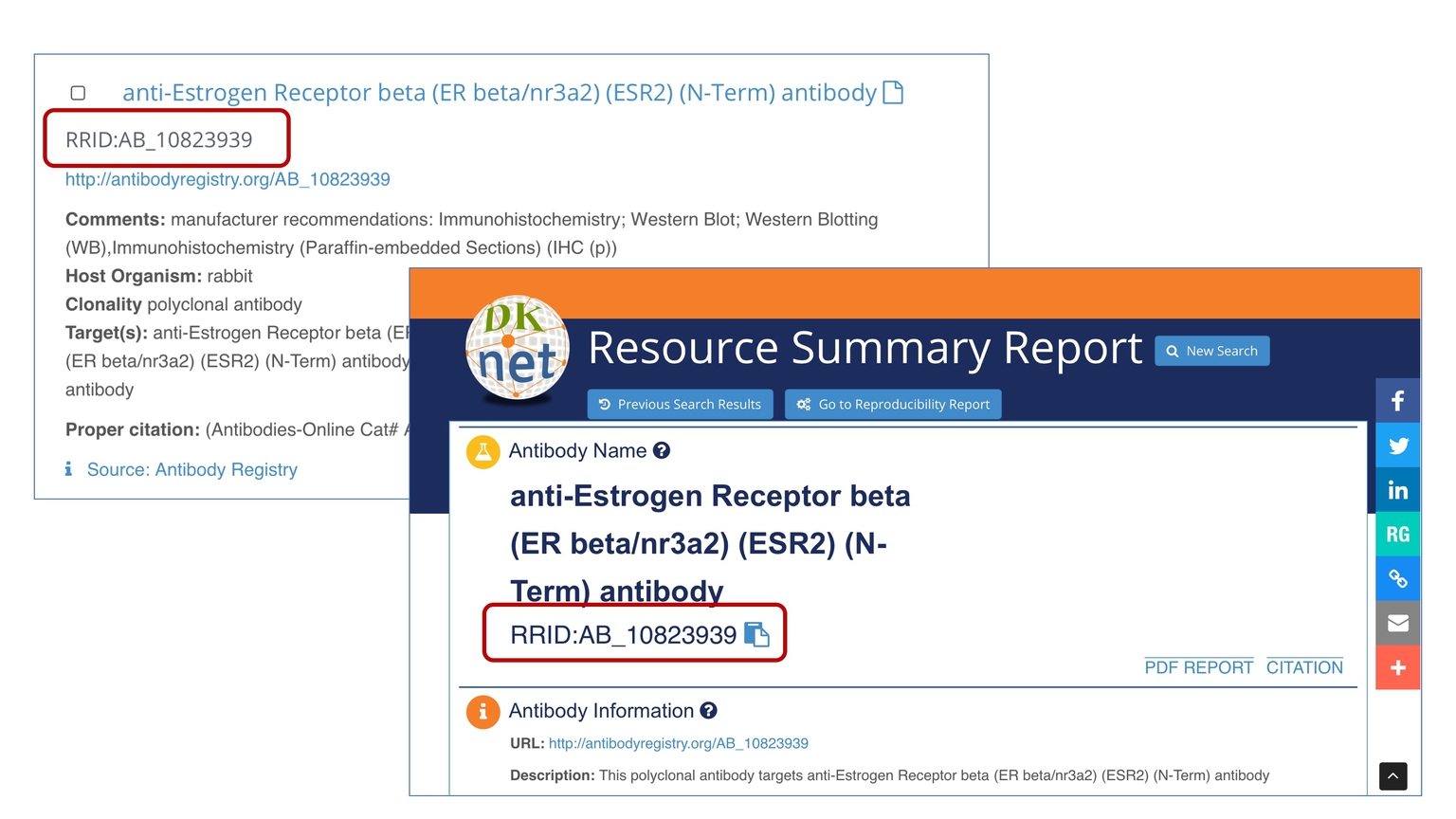 Research Resource Identifiers | API Handbook